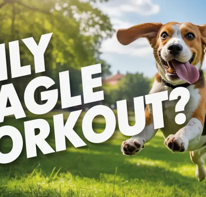 How Much Exercise Does a Beagle Need Daily? Top Guide
